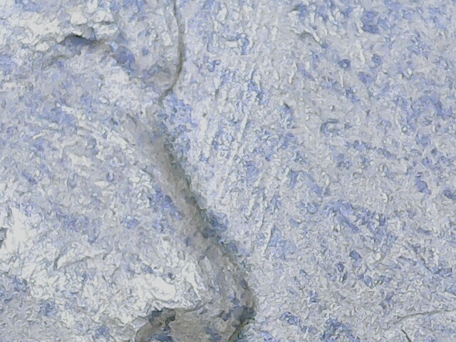 20220808_11_35_49.png