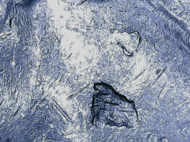 20220819_19_19_08.png