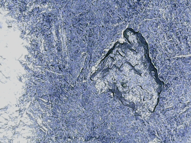 20220819_19_19_53.png