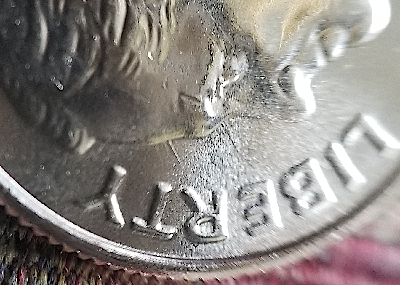 20220821_145508.jpg