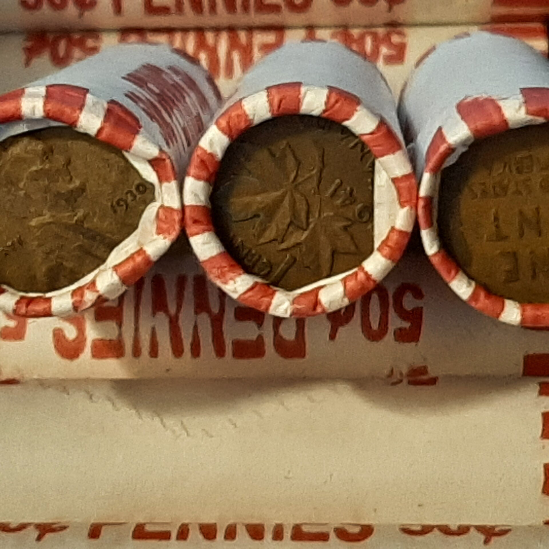 20220825_142455.jpg