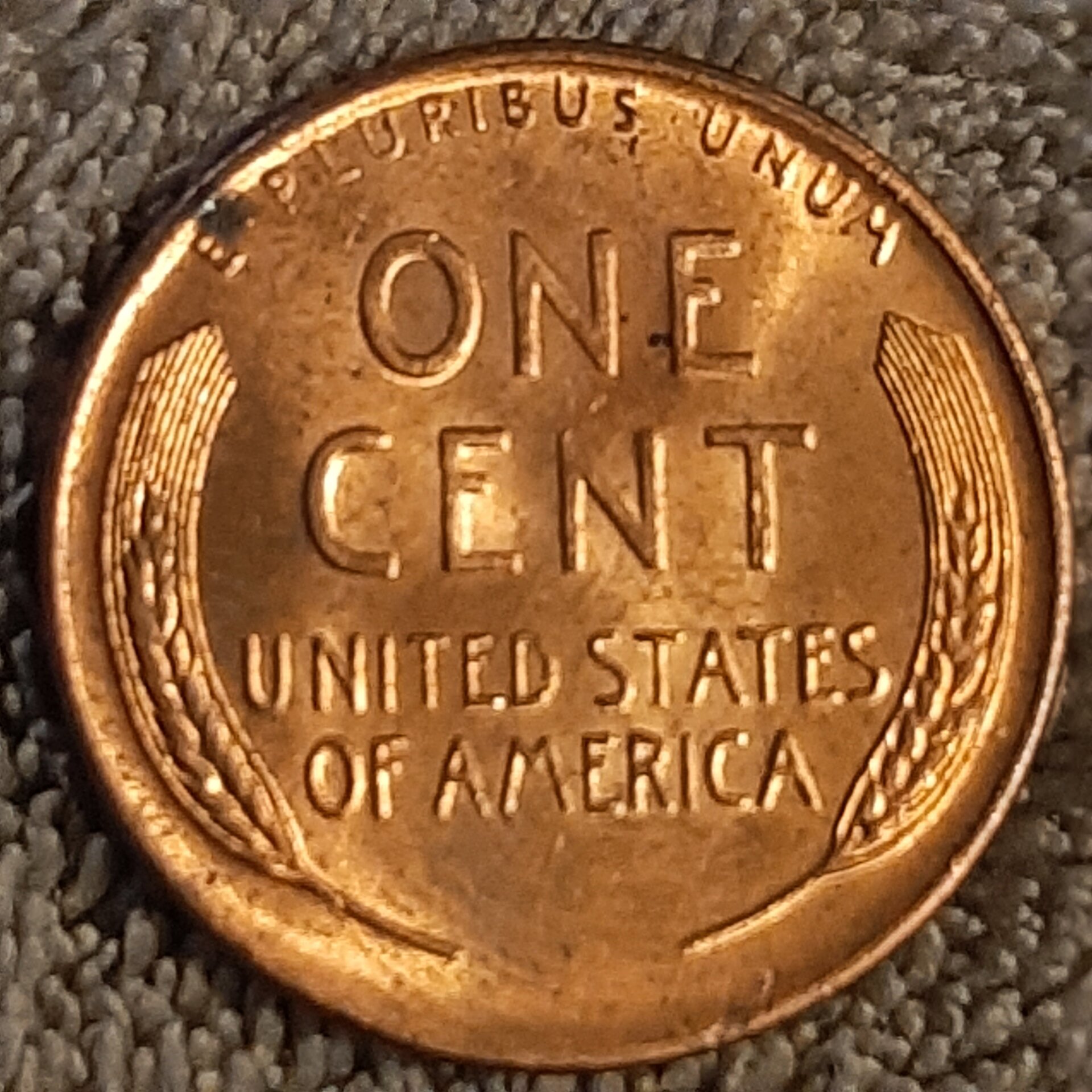 20220827_191552.jpg