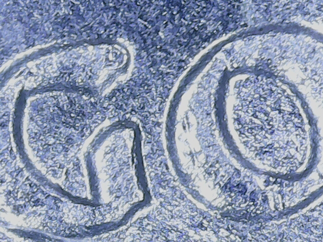 20220831_16_06_53.png