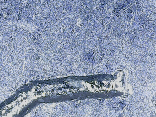 20220906_18_00_42.png
