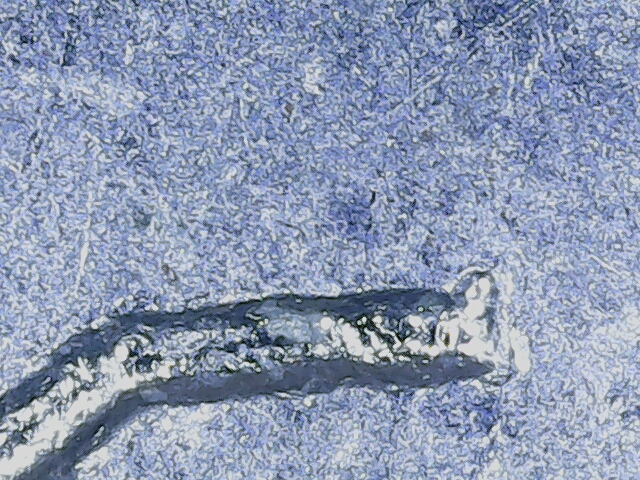 20220906_18_00_43.png