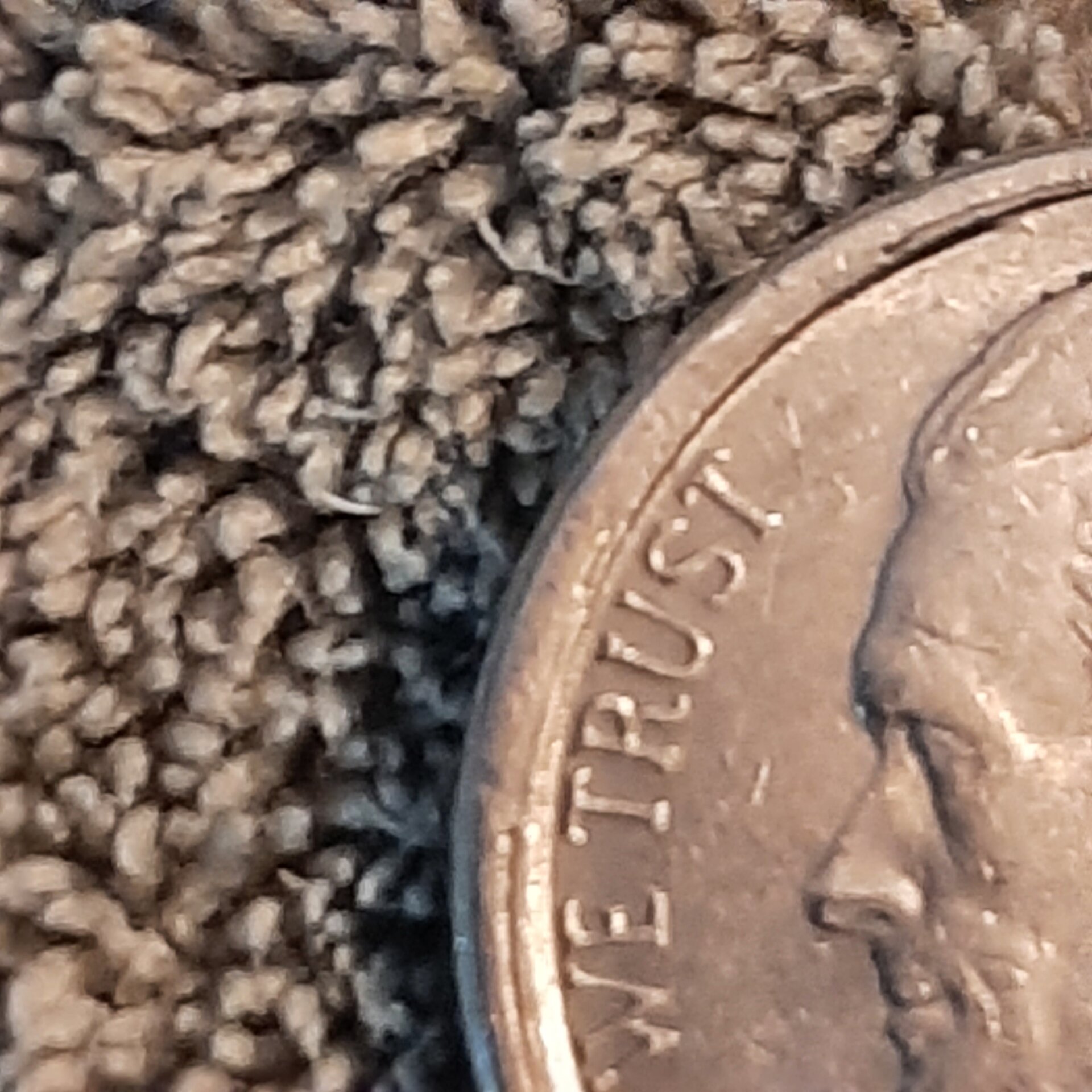 20220909_160846.jpg