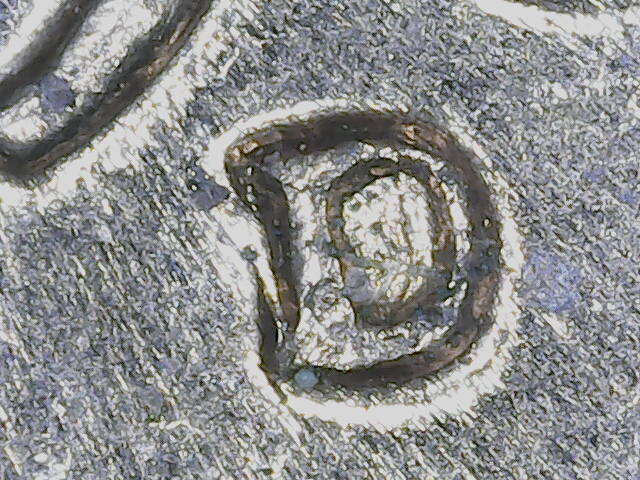 20220910_05_06_56.png