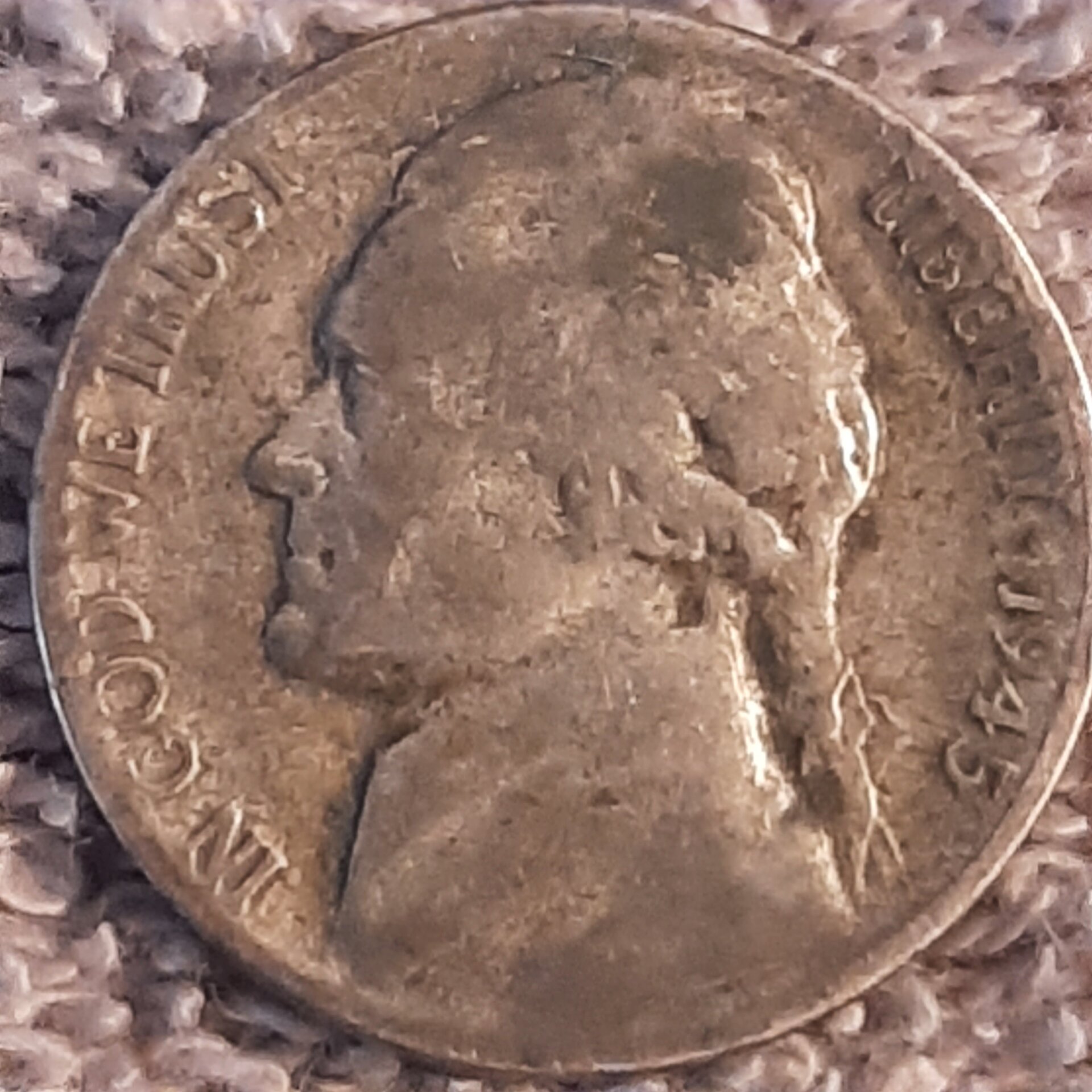 20220912_183134.jpg