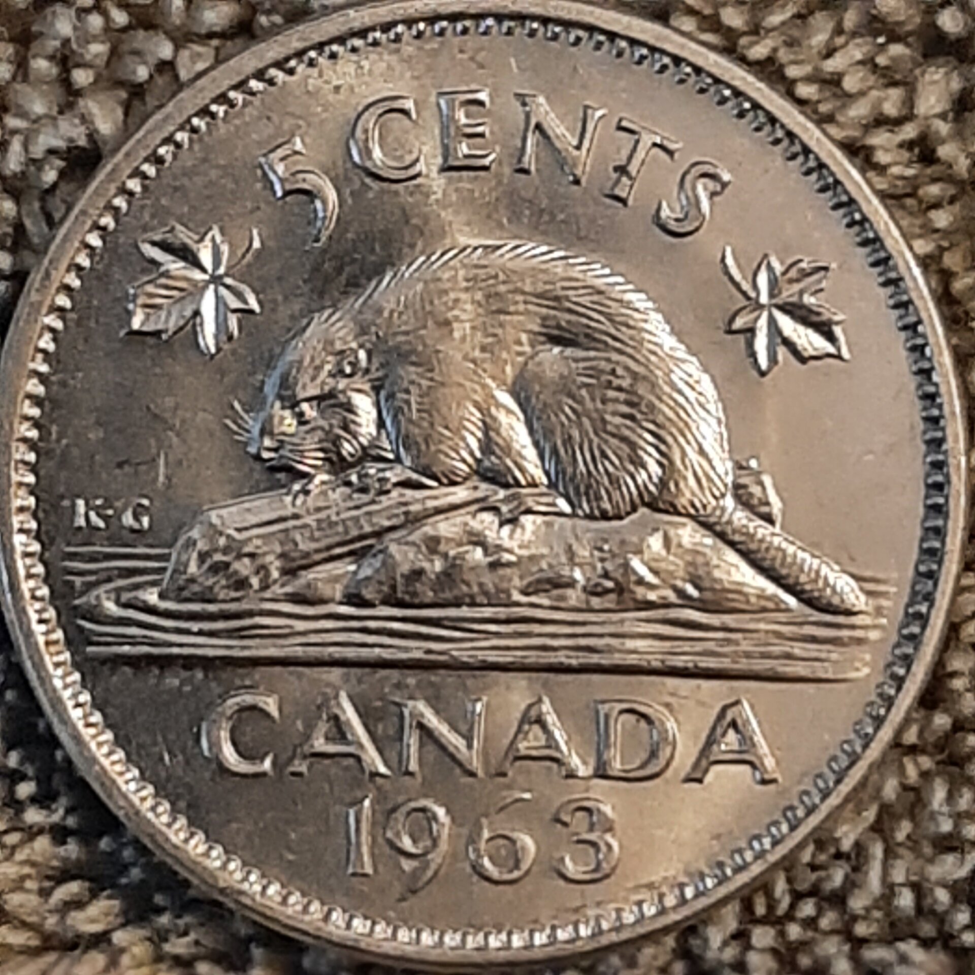 20220920_125153.jpg