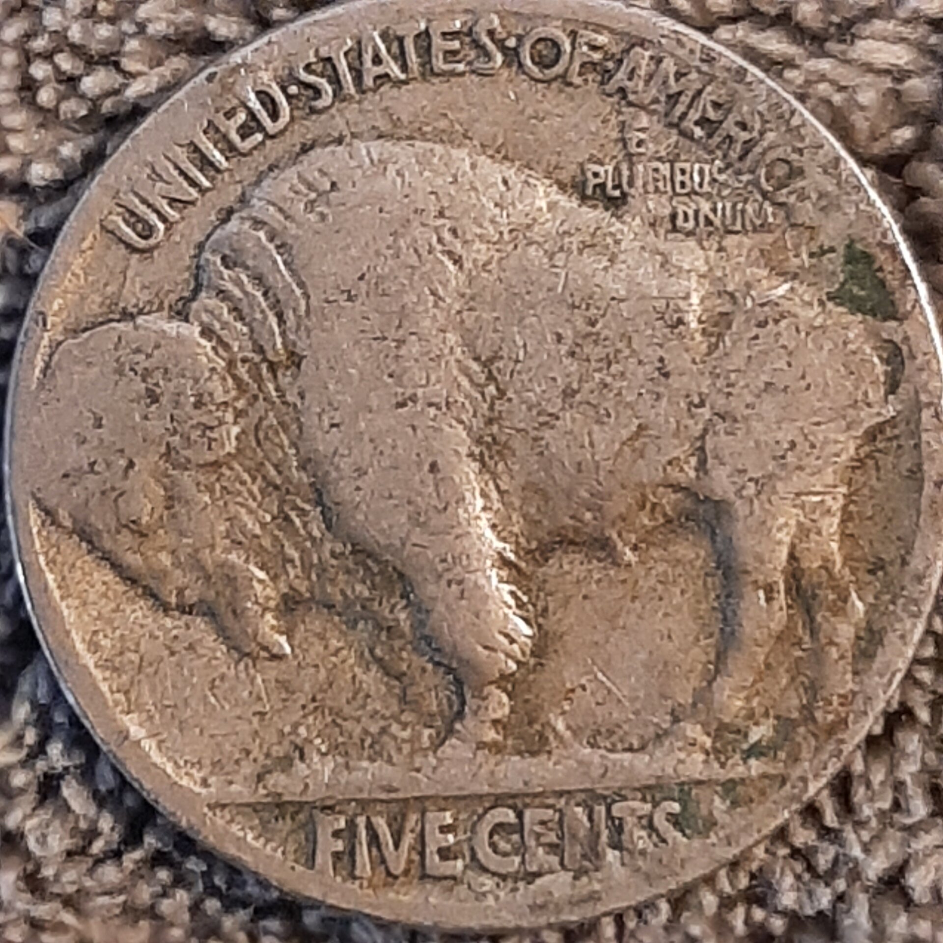 20220920_125332.jpg