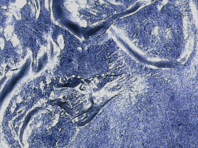 20220921_13_39_09.png