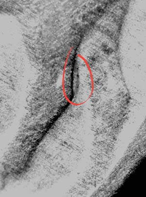 20220922_104503.jpg