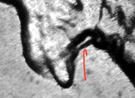 20220922_104530.jpg