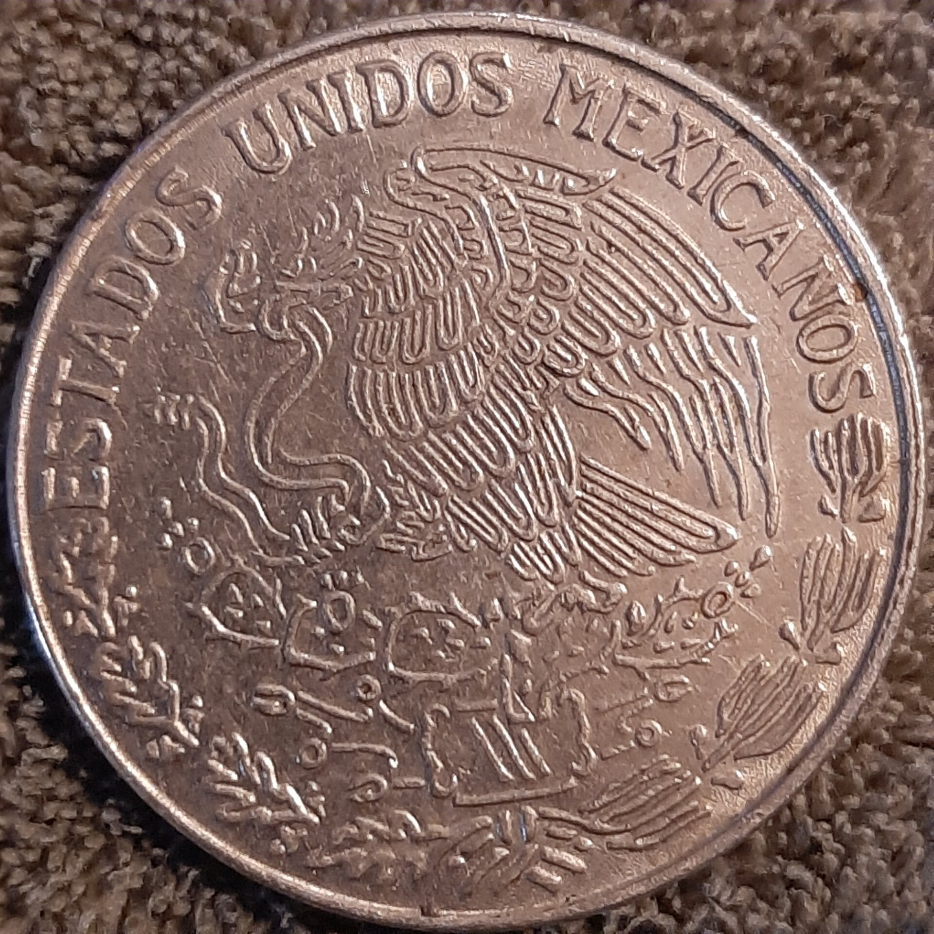 20220922_181657.jpg