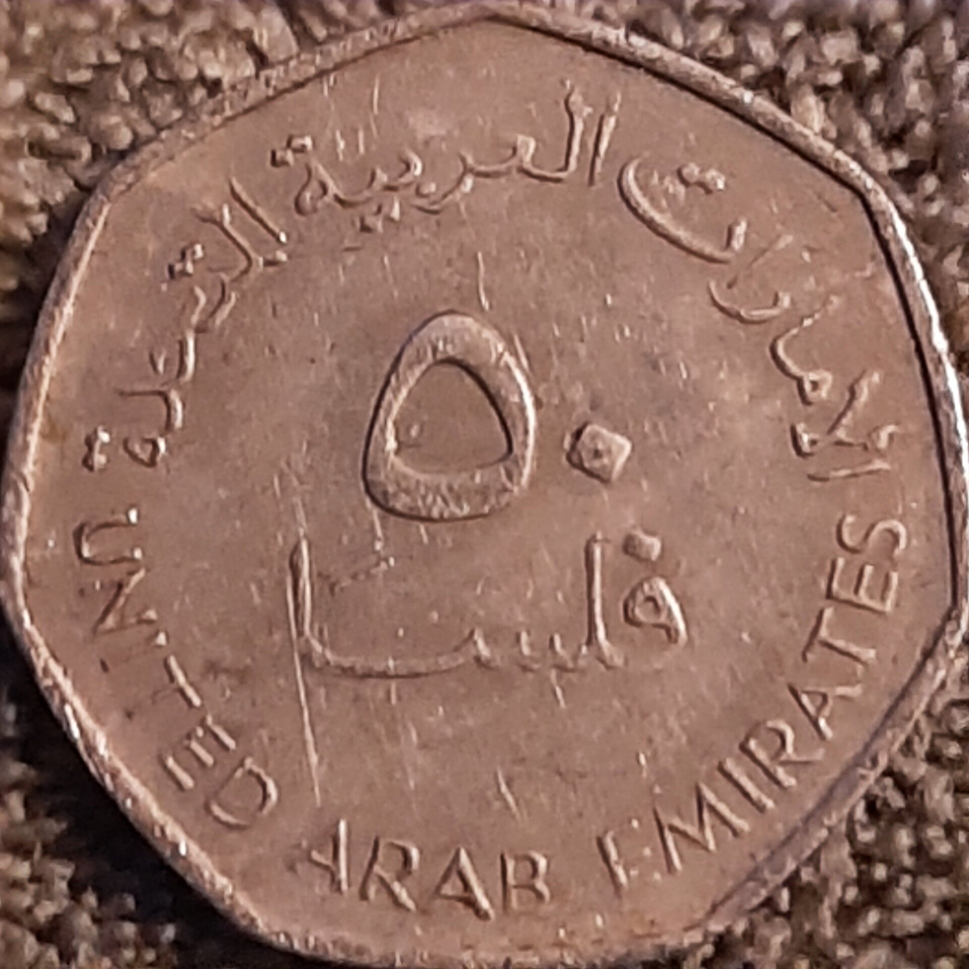 20220926_194537.jpg