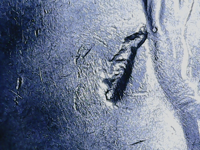 20220927_12_05_53.png