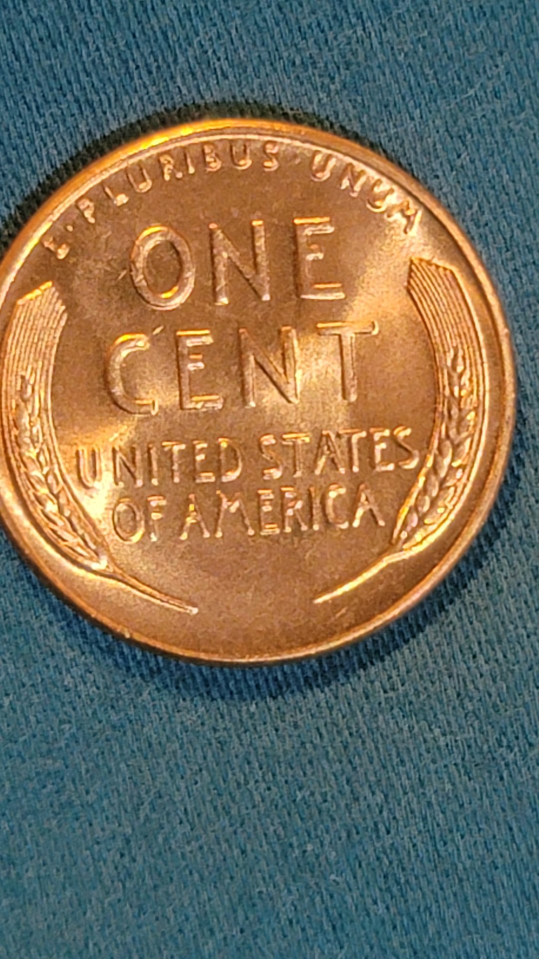 20220928_083715.jpg