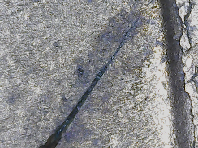 20220929_09_36_16.png