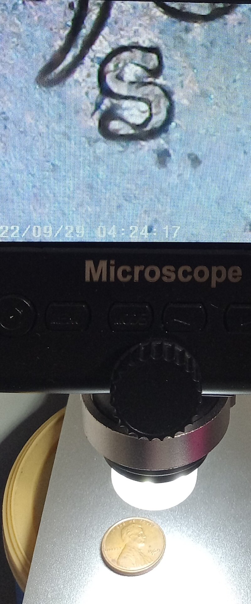 20220929_161211.jpg