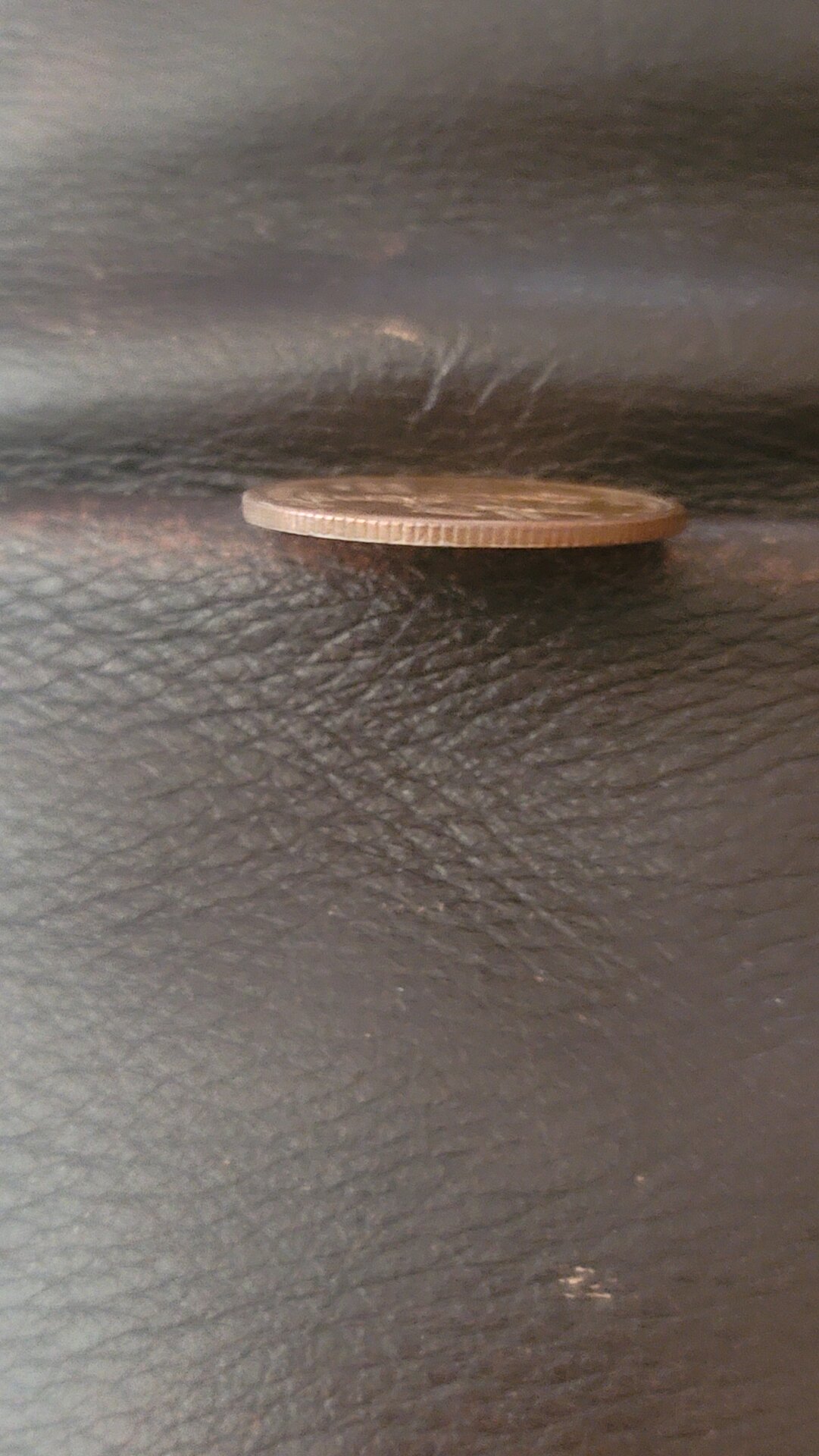 20221003_173139.jpg