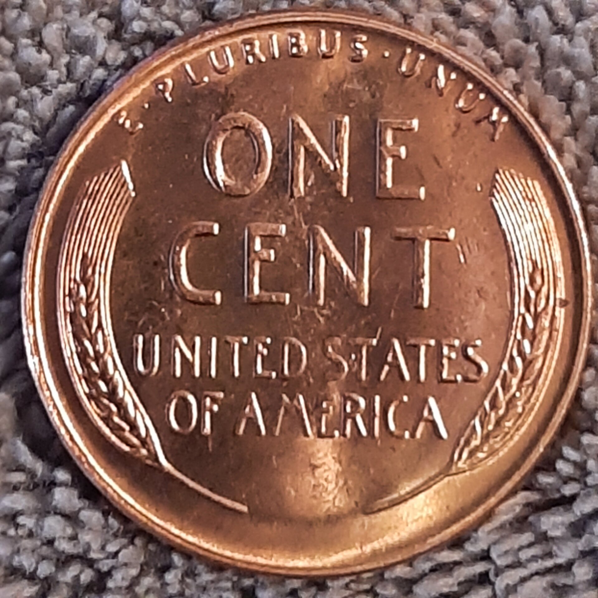 20221004_170738.jpg