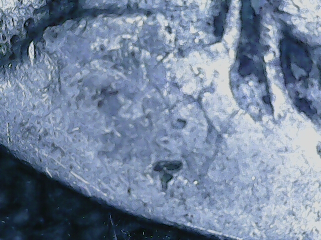 20221020_13_19_22.png