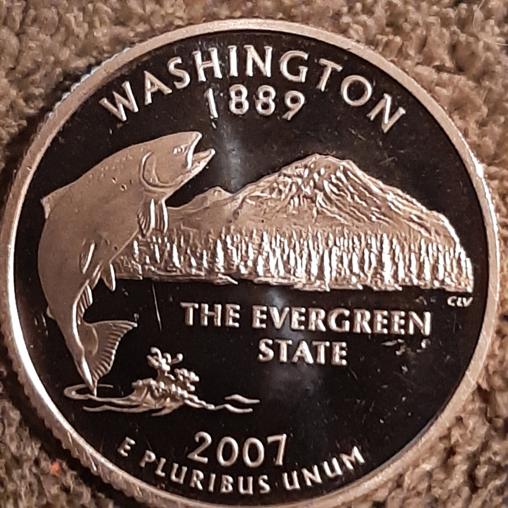 20221020_211528.jpg