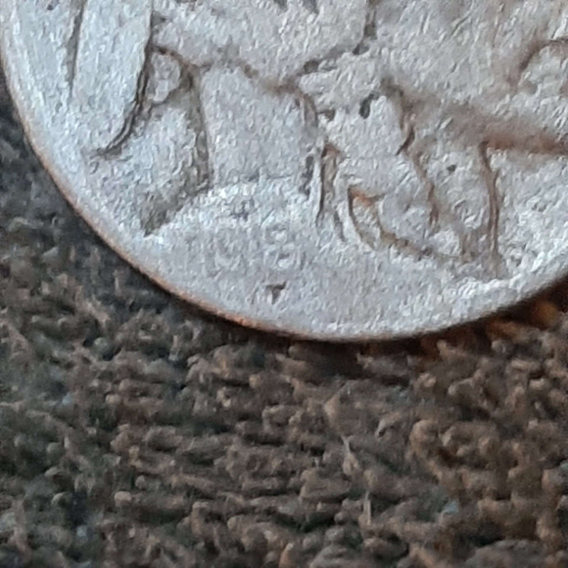 20221021_172027.jpg