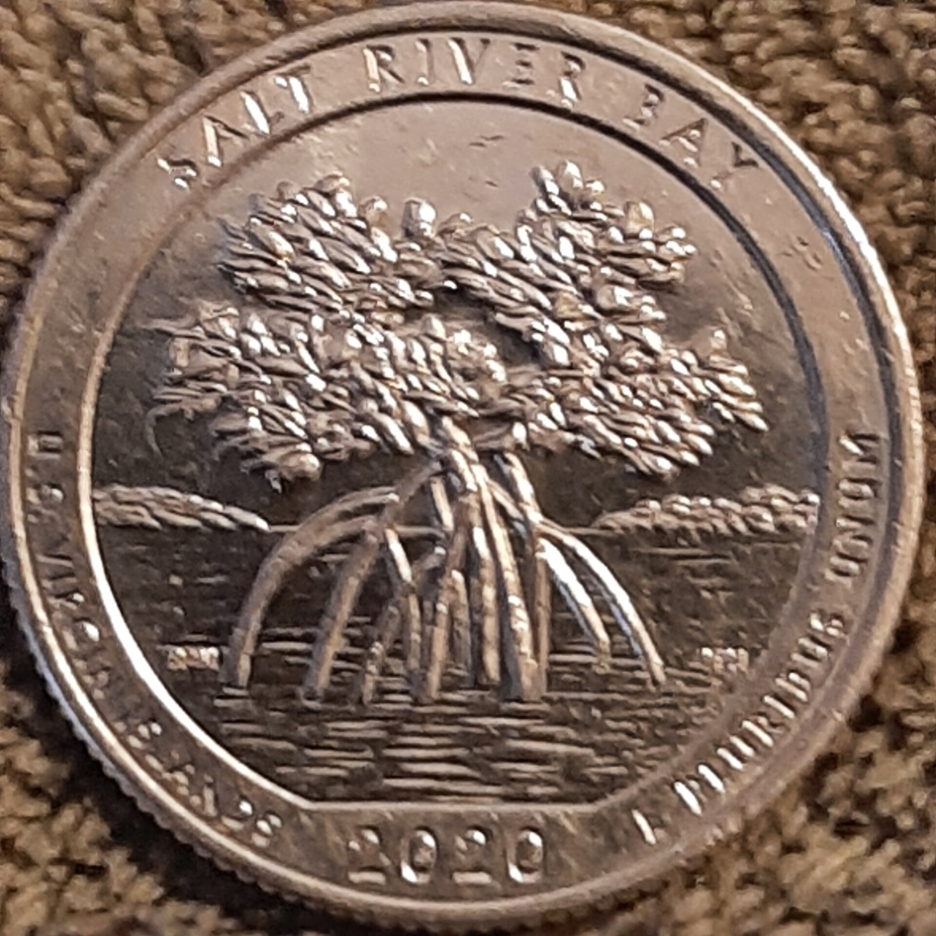 20221026_164639.jpg