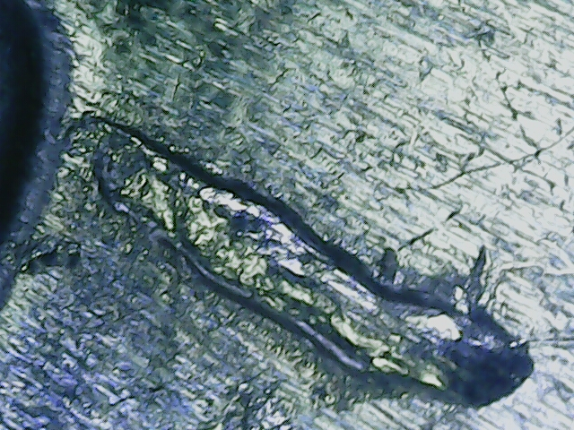20221026_19_34_43.png