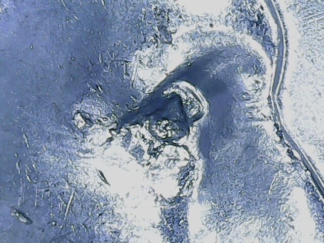 20221028_06_40_55.png