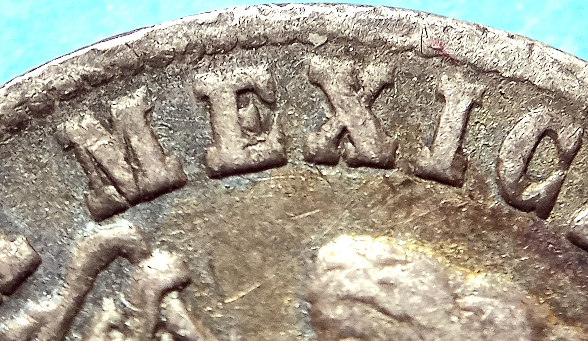 20221103_092412.jpg