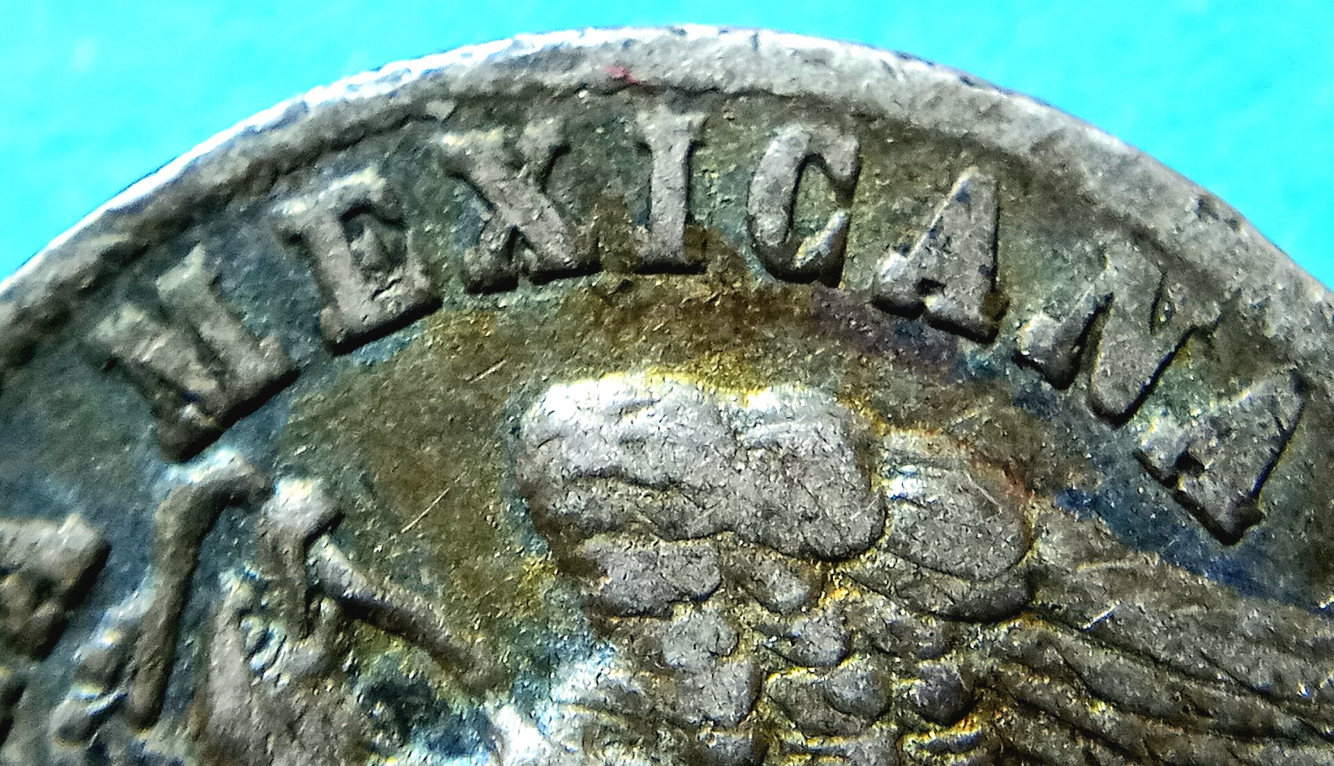 20221103_092603.jpg