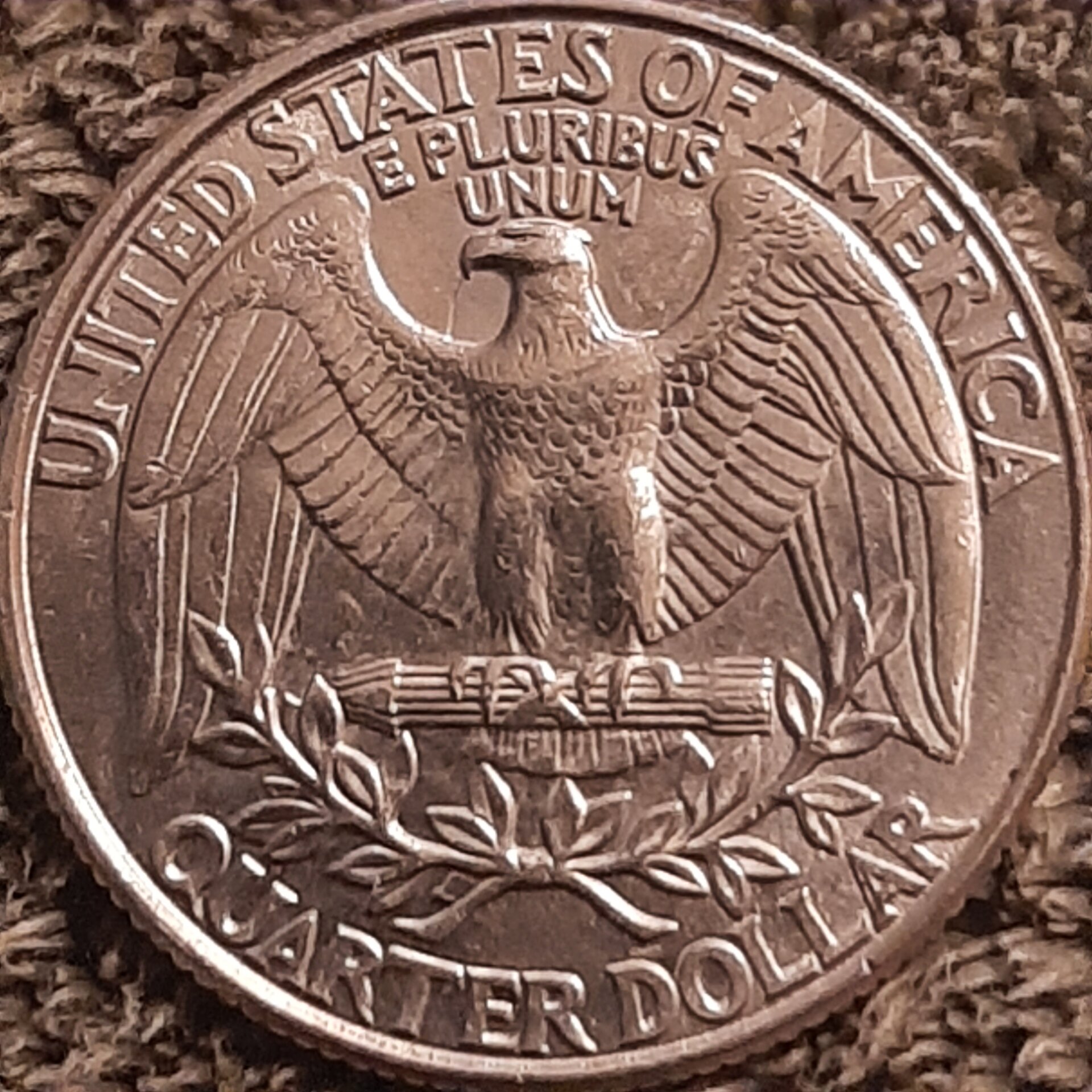 20221104_194427.jpg