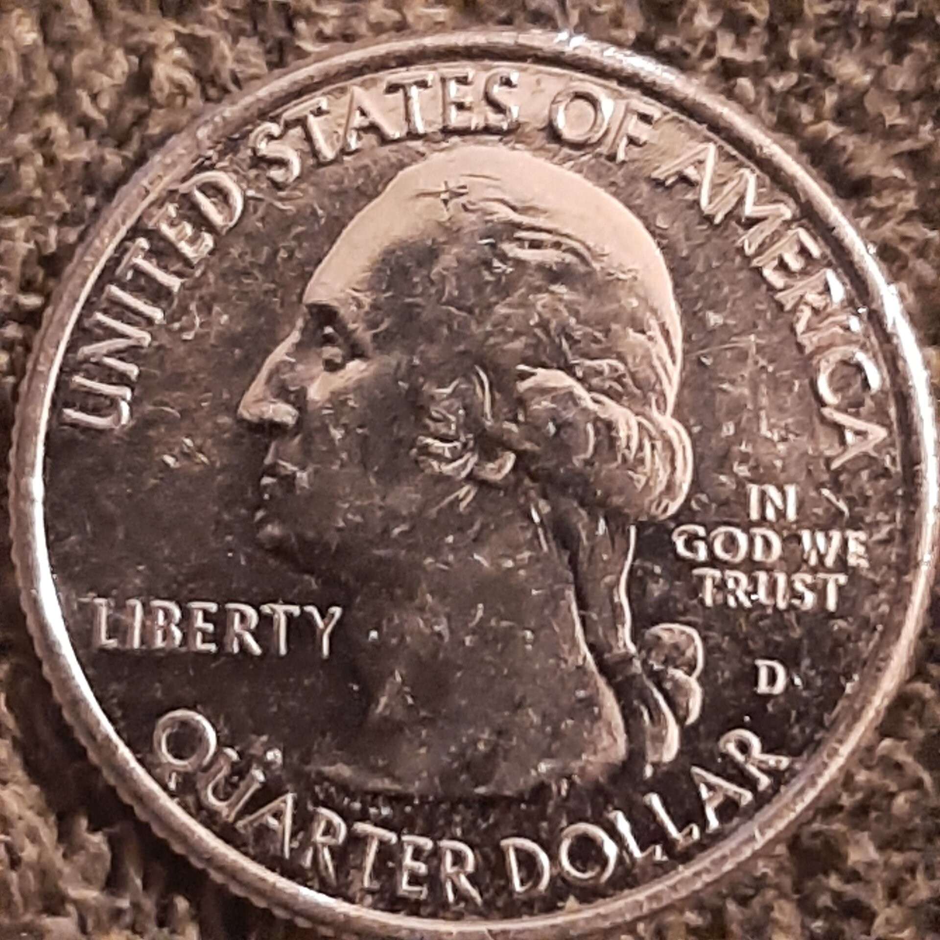 20221104_195559.jpg