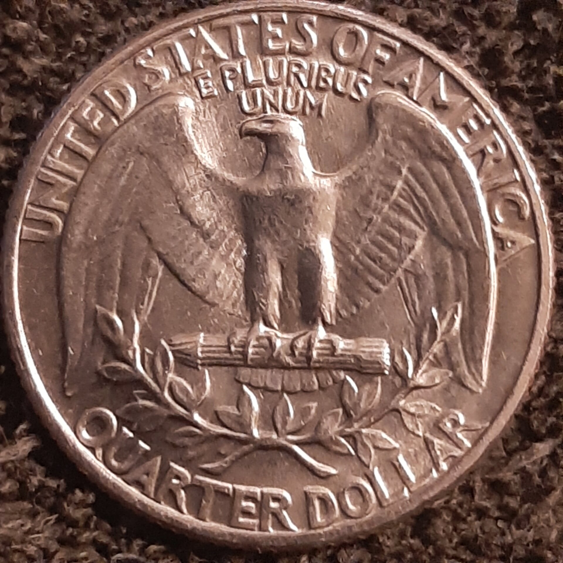 20221104_195742.jpg
