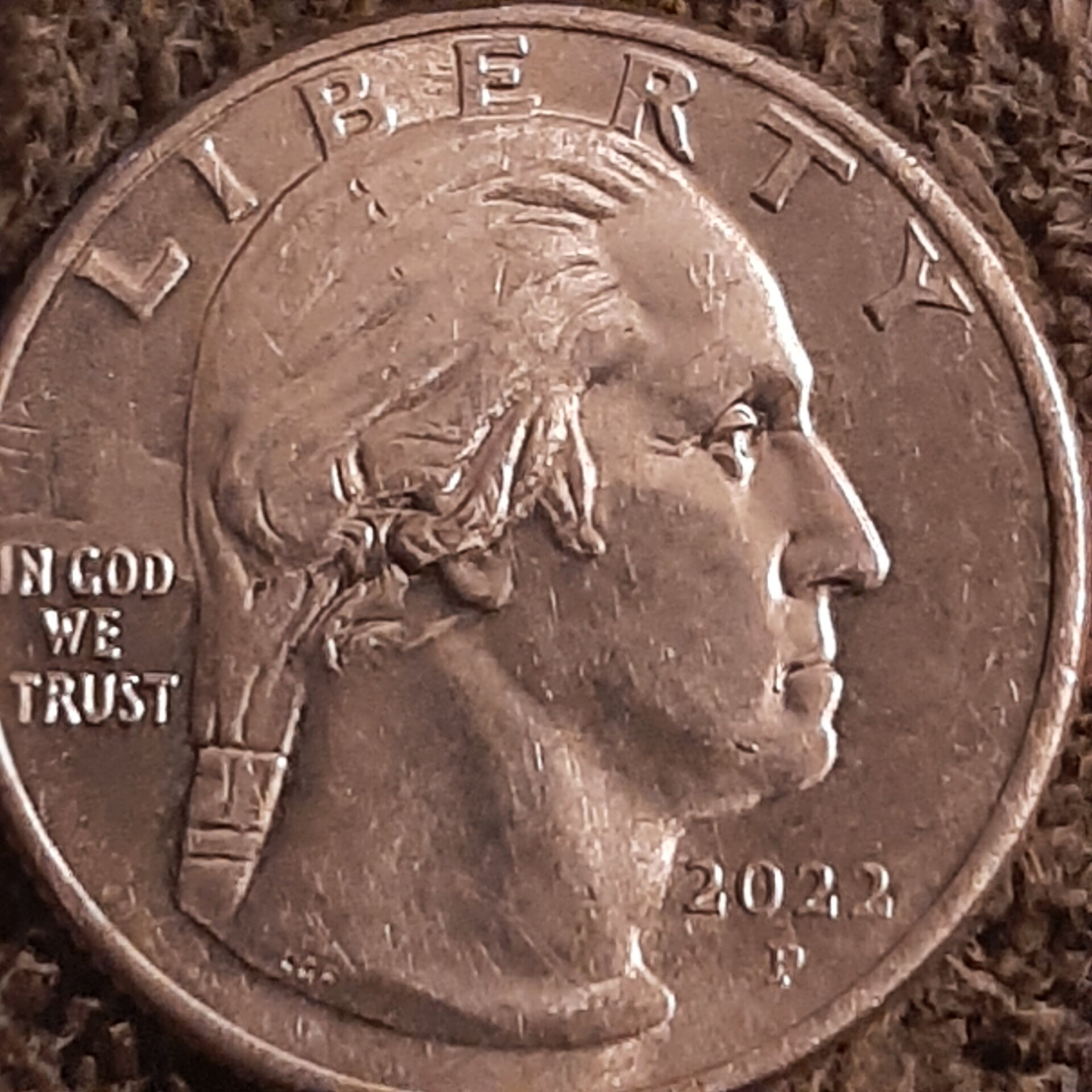 20221104_201110.jpg