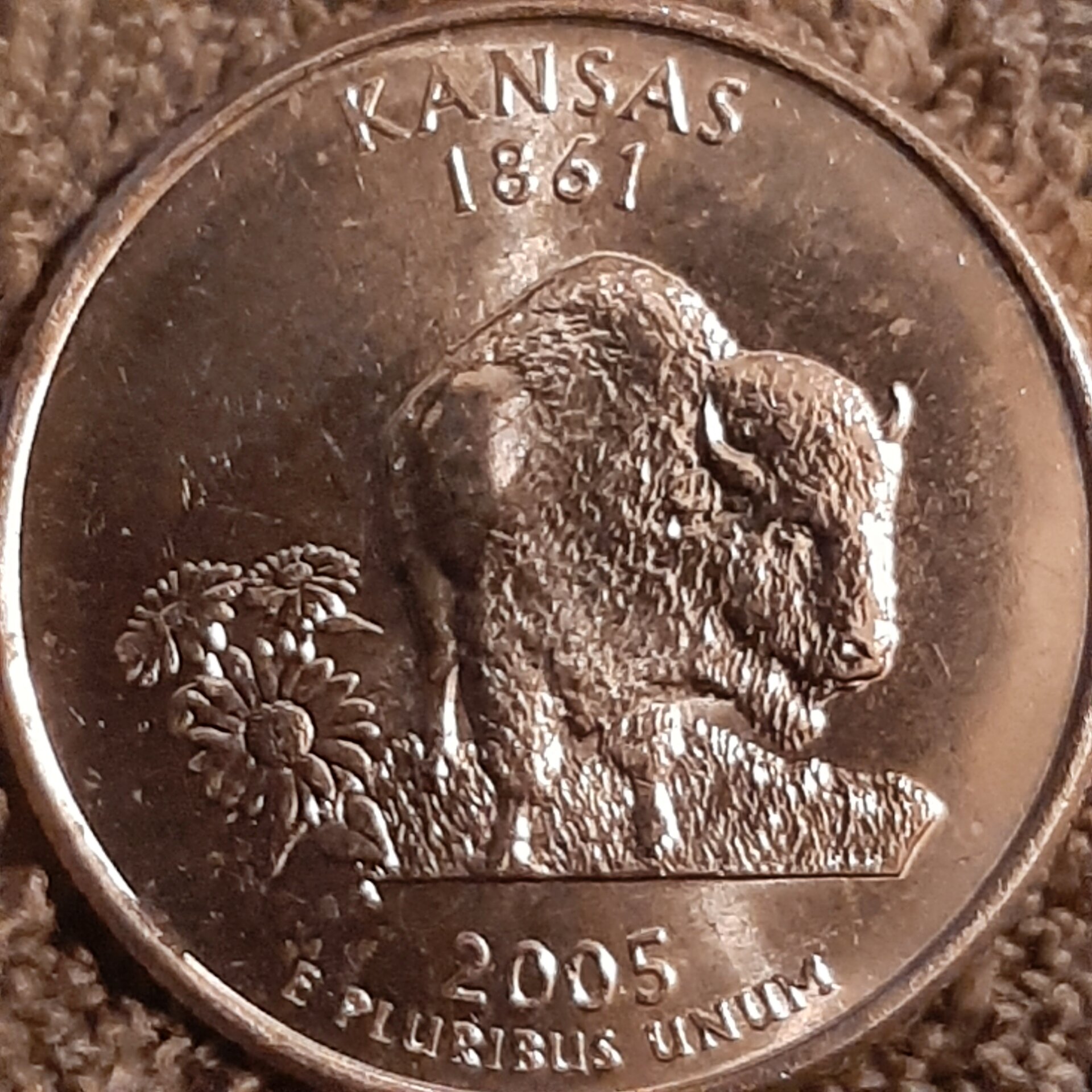 20221109_180115.jpg