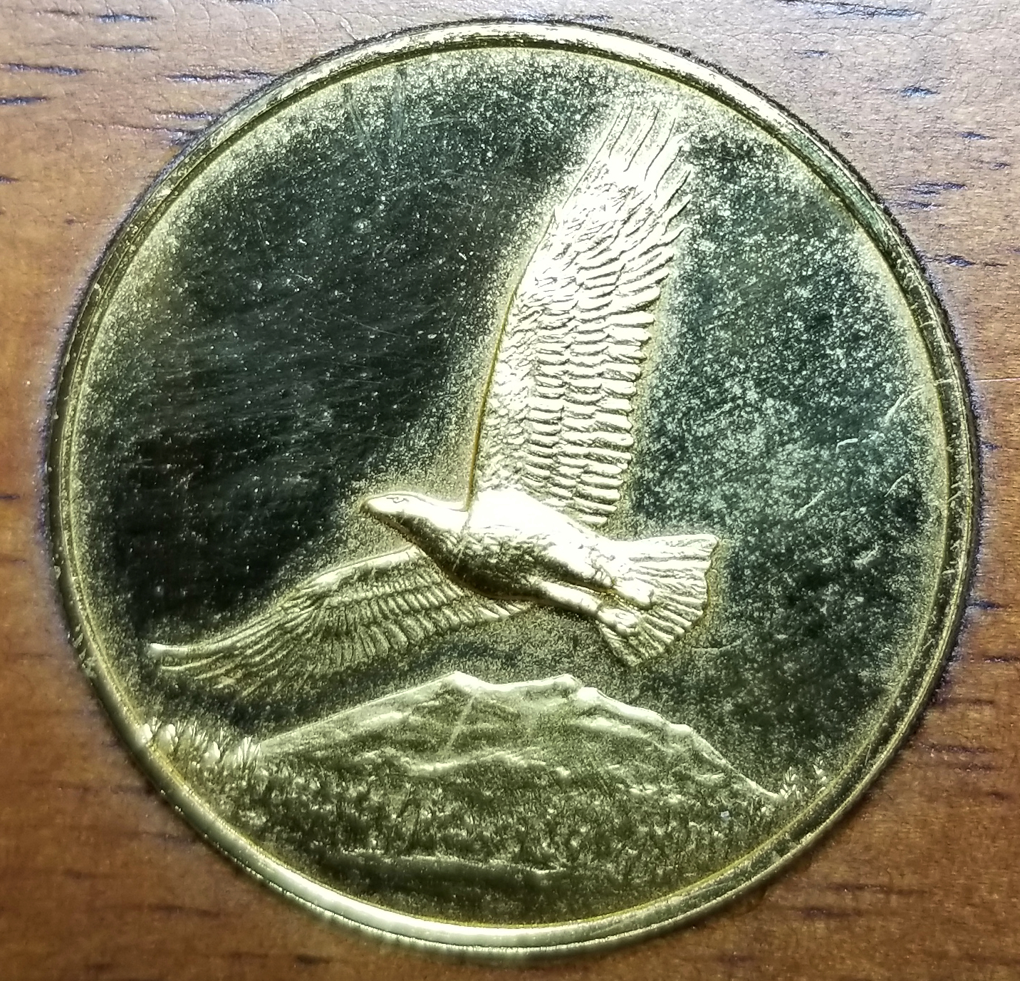 20221118_172230.jpg