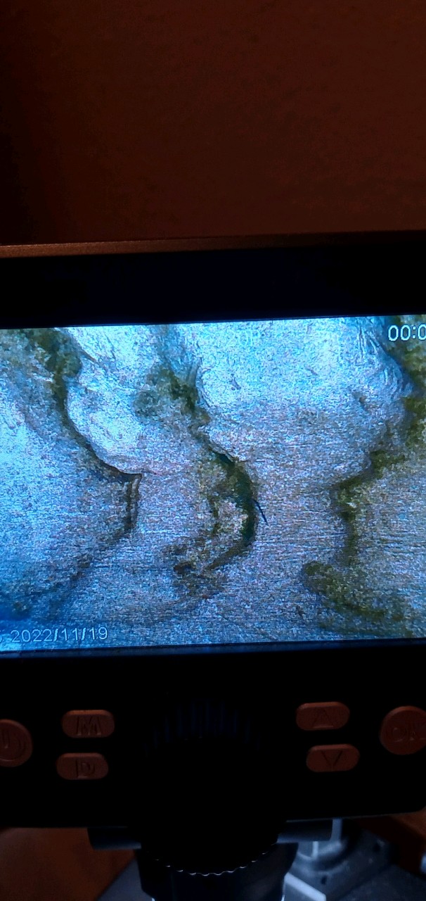 20221119_182051_HDR.jpg