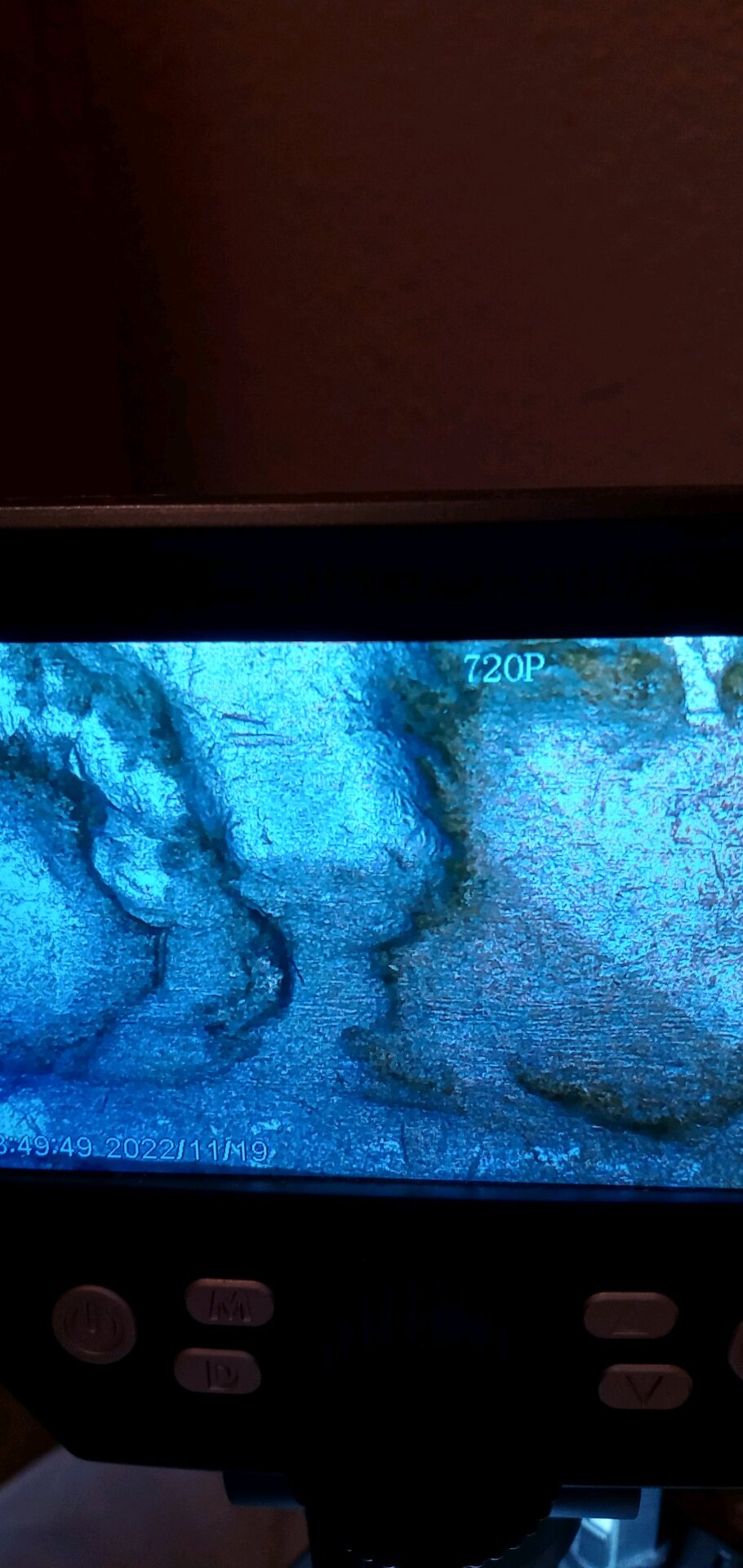 20221119_182156_HDR.jpg