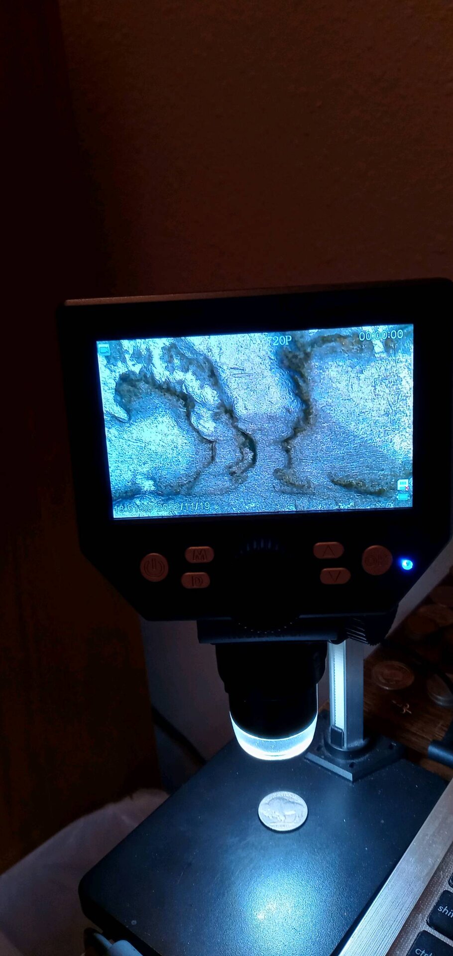 20221119_182337_HDR.jpg
