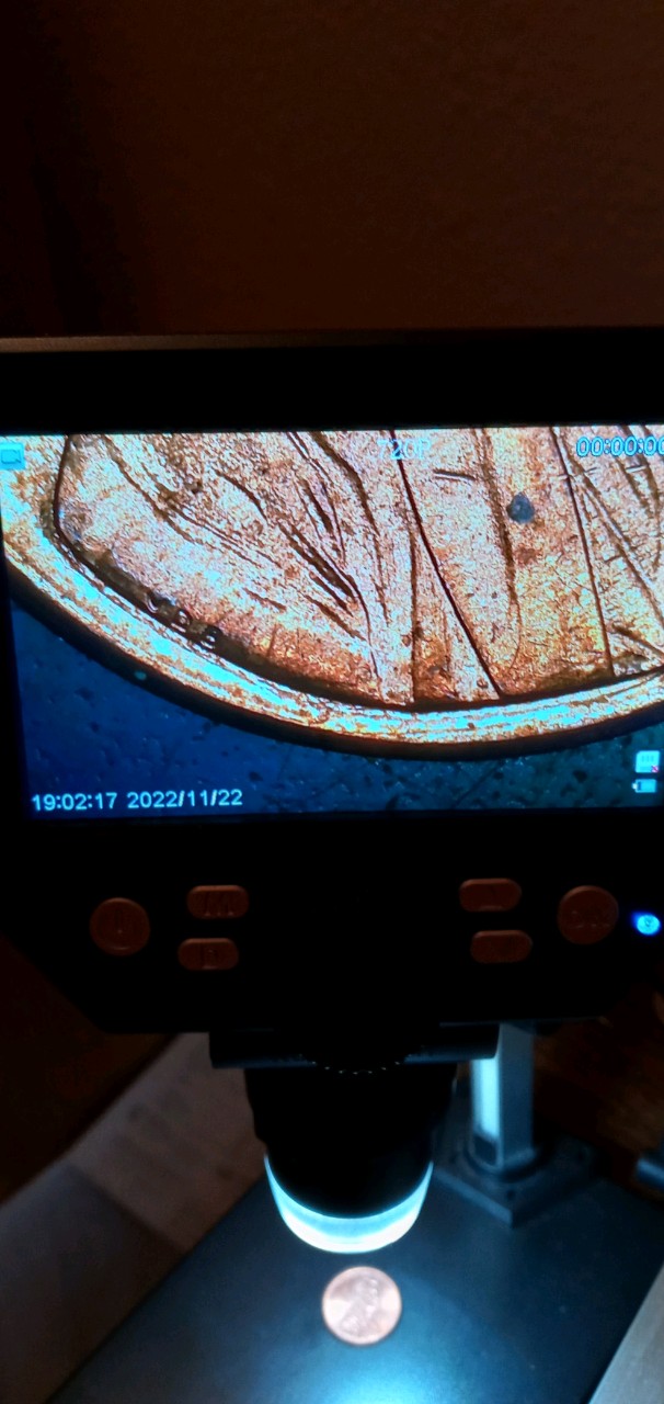 20221122_183407_HDR.jpg