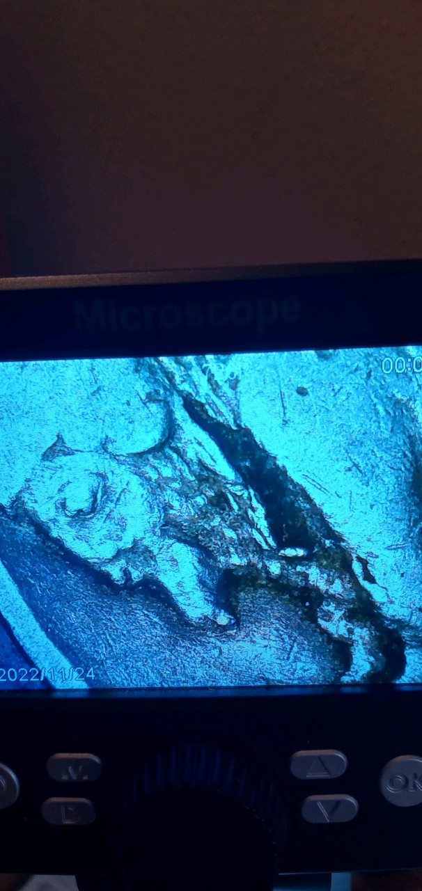 20221124_161929_HDR.jpg