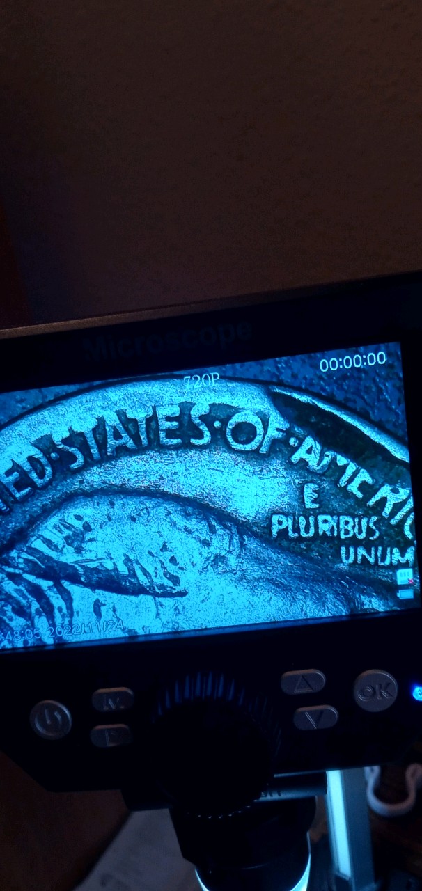 20221124_161946_HDR.jpg