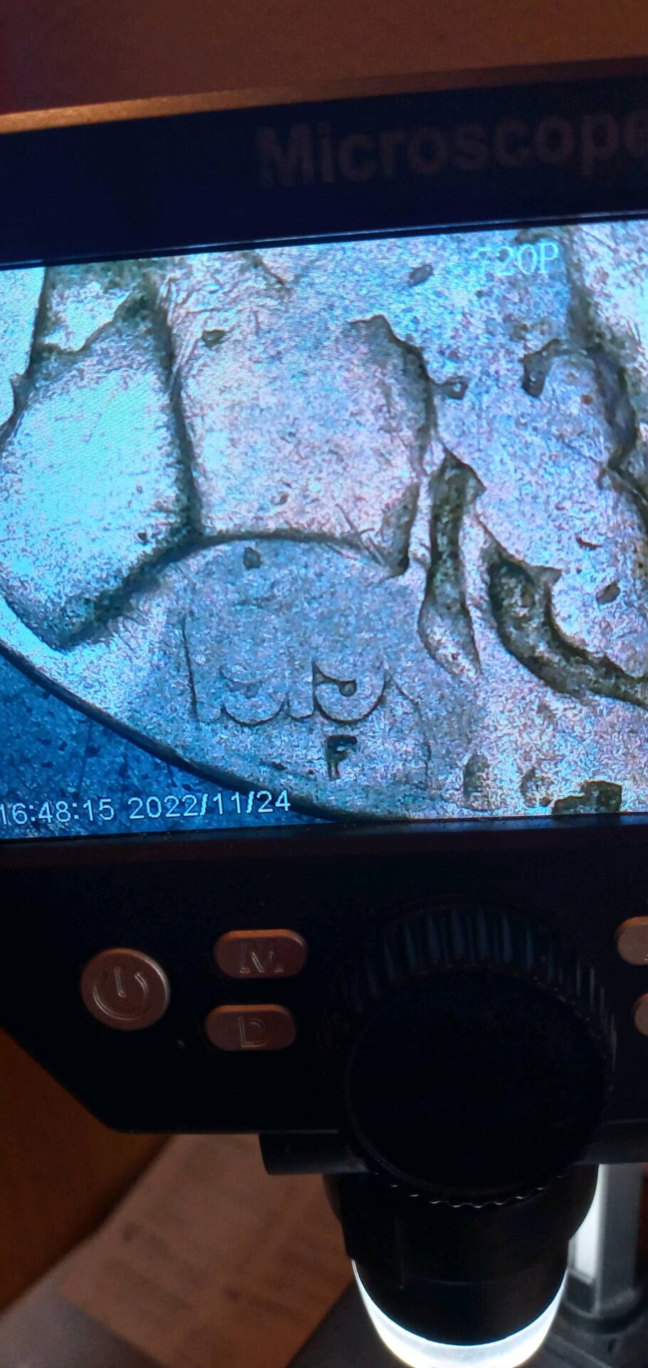 20221124_161955_HDR.jpg