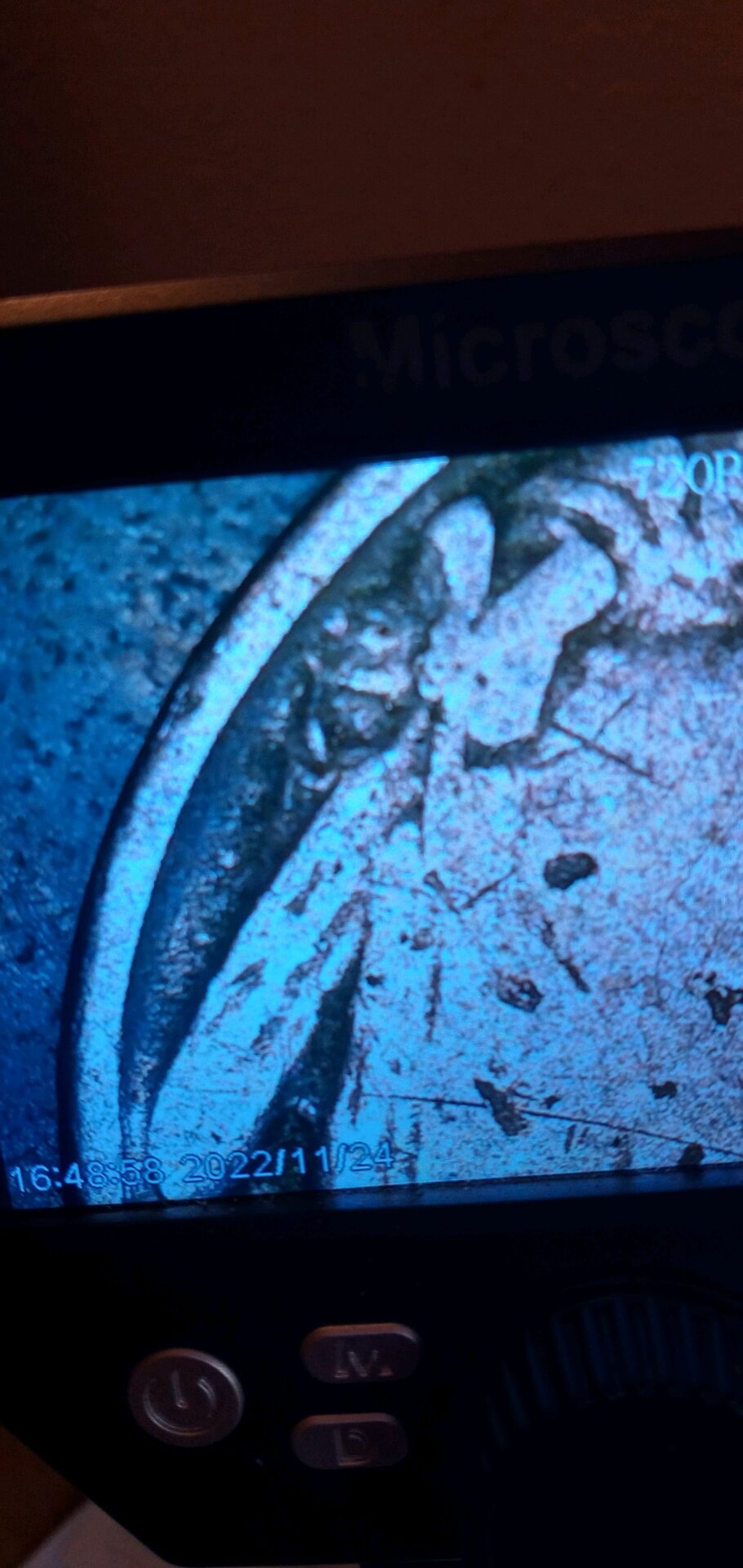 20221124_162038_HDR.jpg