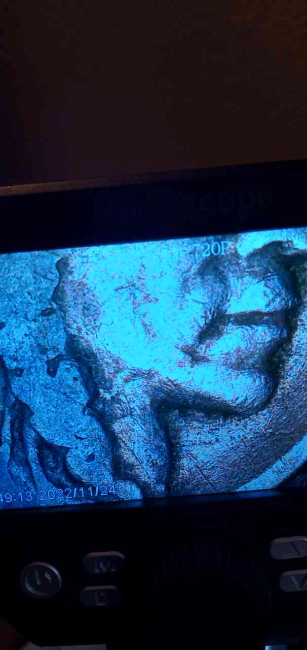 20221124_162052_HDR.jpg