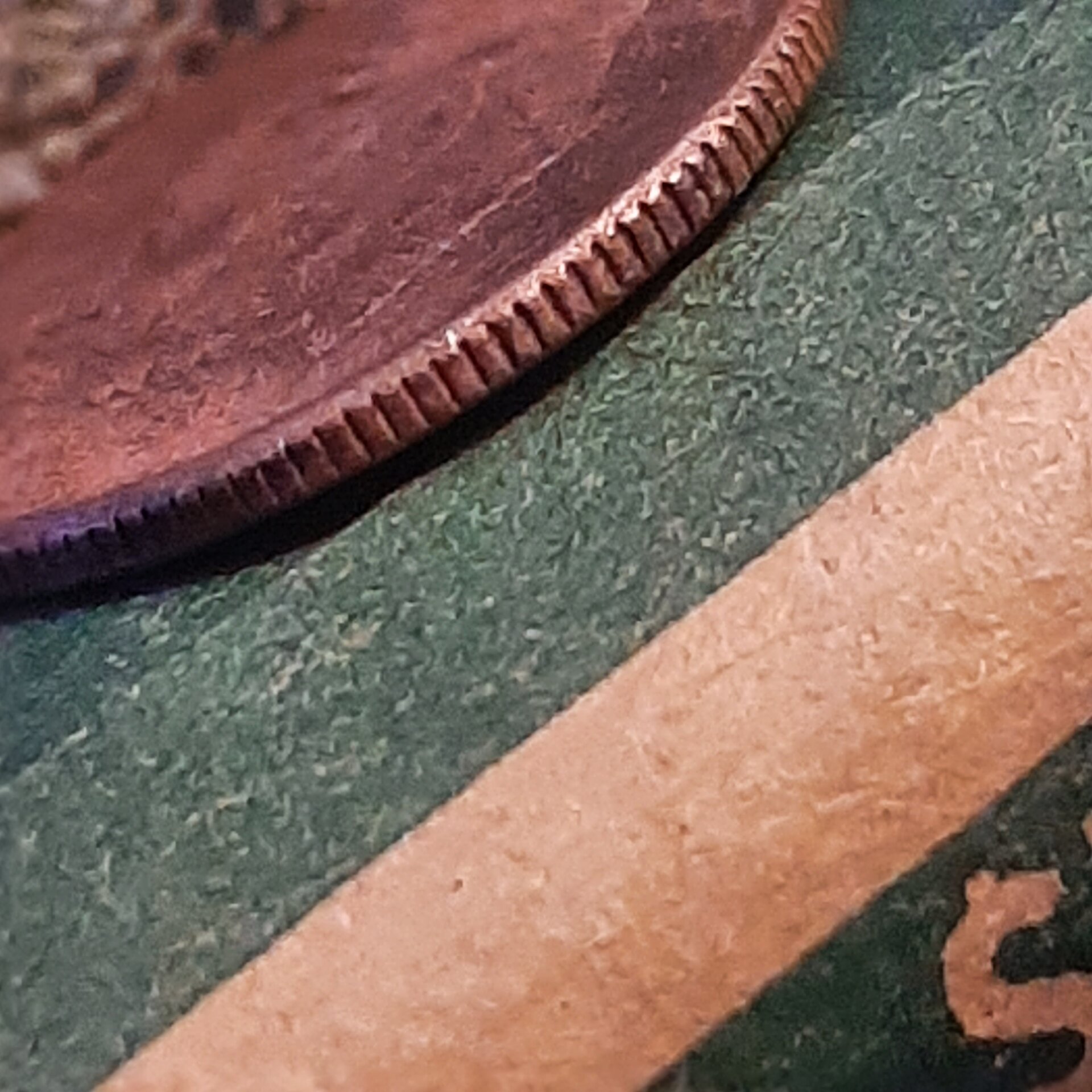 20221217_095523.jpg