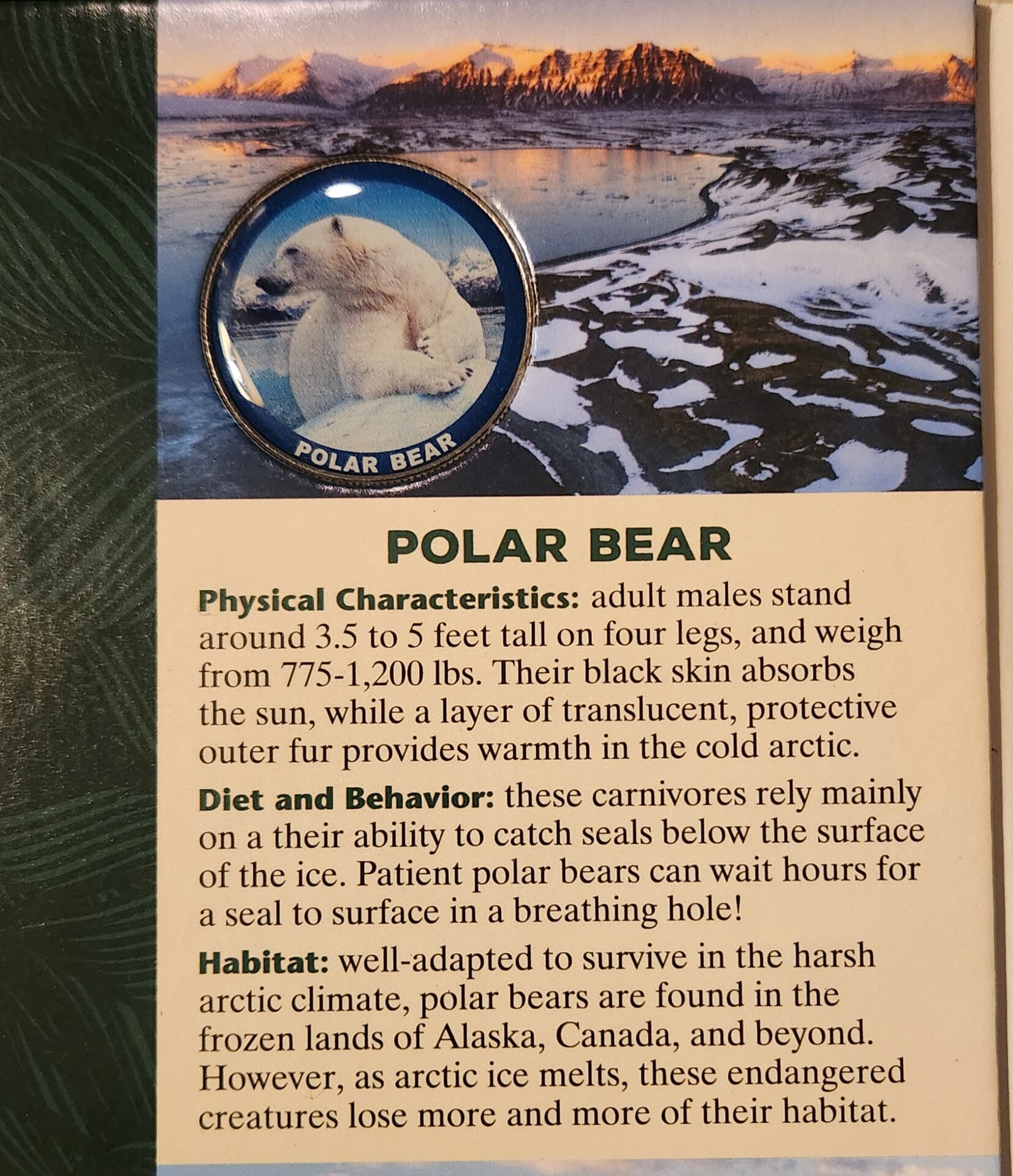 20221222_175733.jpg